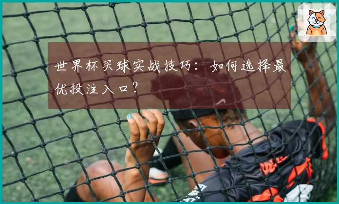 世界杯买球实战技巧：如何选择最优投注入口？
