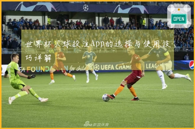 世界杯买球投注App的选择与使用技巧详解