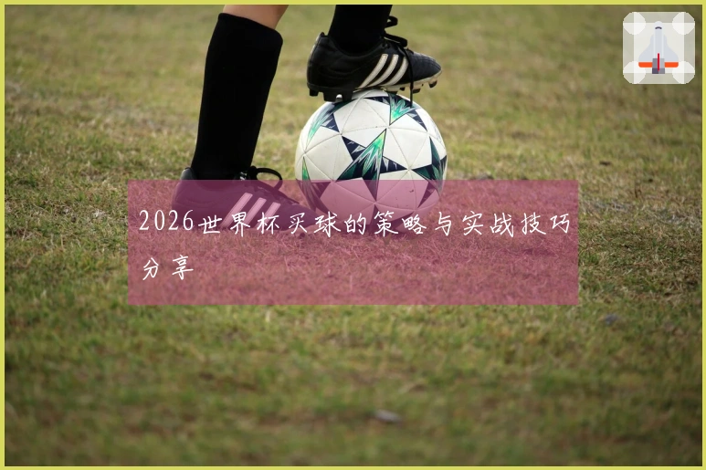 2026世界杯买球的策略与实战技巧分享