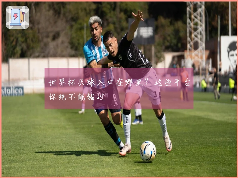 世界杯买球入口在哪里？这些平台你绝不能错过