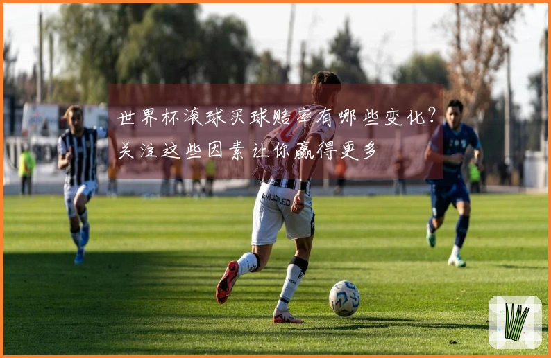 世界杯滚球买球赔率有哪些变化？关注这些因素让你赢得更多