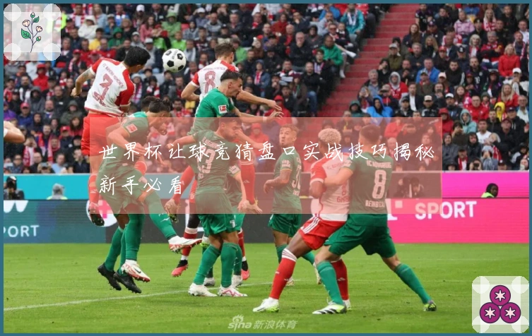 世界杯让球竞猜盘口实战技巧揭秘新手必看