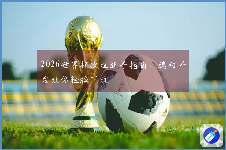 2026世界杯投注新手指南，选对平台让你轻松下注