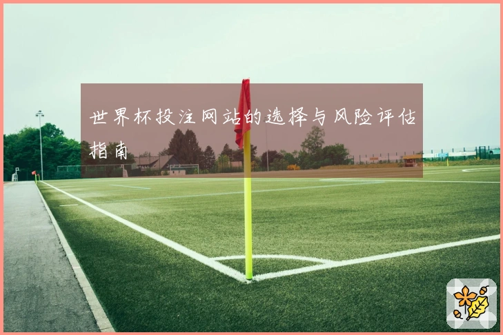 世界杯投注网站的选择与风险评估指南