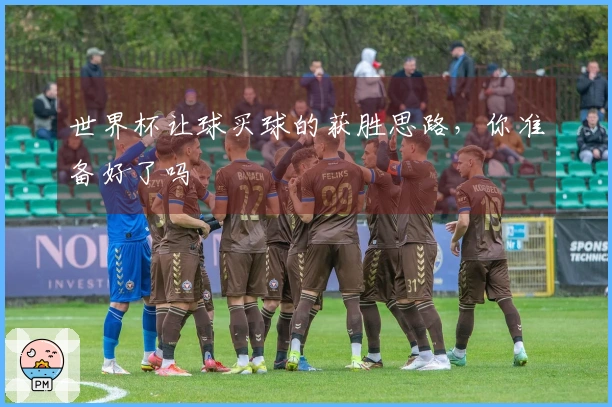 世界杯让球买球的获胜思路，你准备好了吗