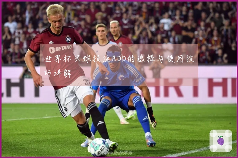 世界杯买球投注App的选择与使用技巧详解