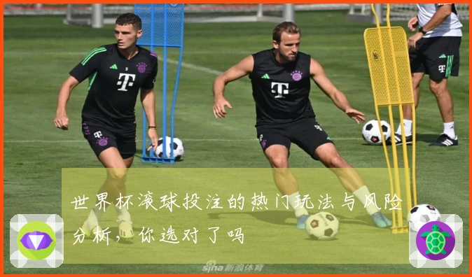 世界杯滚球投注的热门玩法与风险分析，你选对了吗
