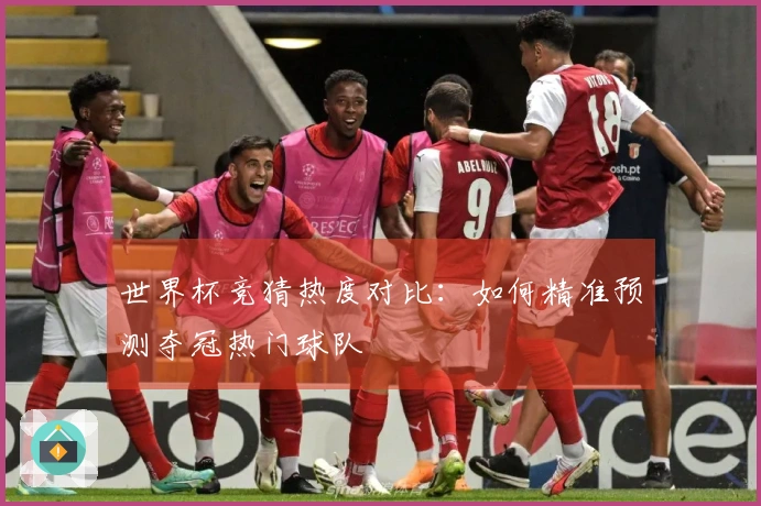 世界杯竞猜热度对比：如何精准预测夺冠热门球队