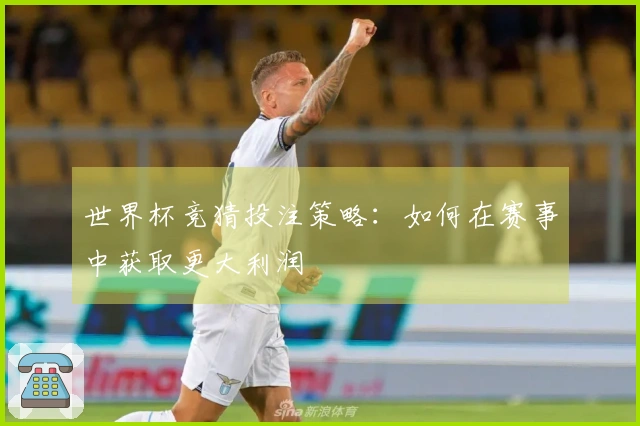 世界杯竞猜投注策略：如何在赛事中获取更大利润