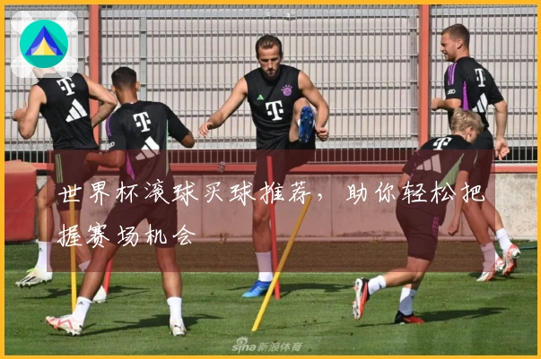 世界杯滚球买球推荐，助你轻松把握赛场机会