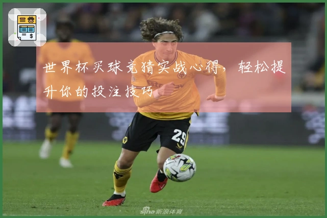 世界杯买球竞猜实战心得，轻松提升你的投注技巧