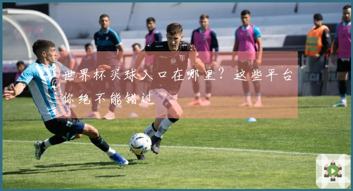 世界杯买球入口在哪里？这些平台你绝不能错过