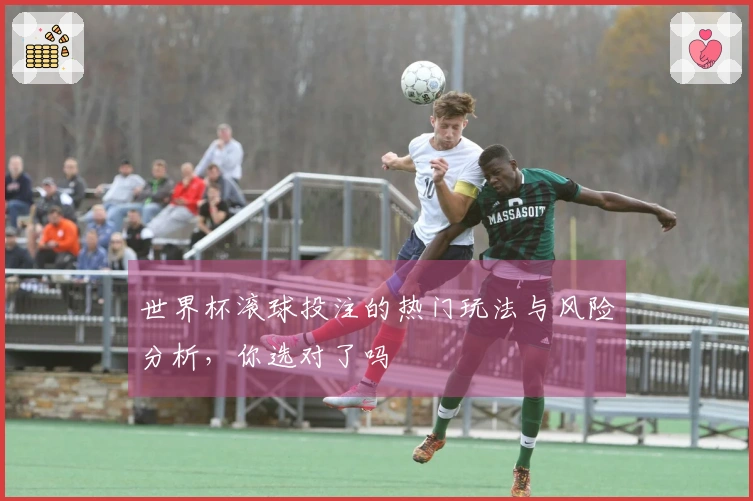 世界杯滚球投注的热门玩法与风险分析，你选对了吗