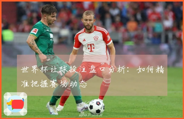 世界杯让球投注盘口分析：如何精准把握赛场动态