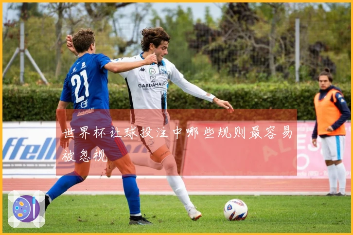 世界杯让球投注中哪些规则最容易被忽视