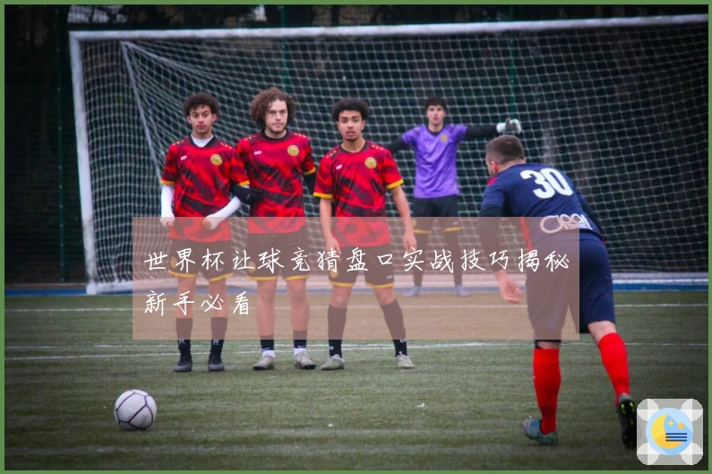 世界杯让球竞猜盘口实战技巧揭秘新手必看