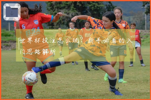 世界杯投注怎么玩？新手必看的入门思路解析