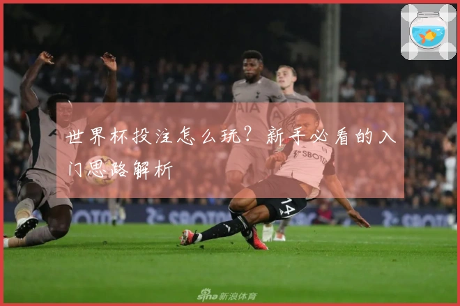 世界杯投注怎么玩？新手必看的入门思路解析